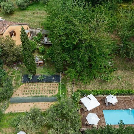 La Casa Sui Colli Villa Uzzano Ngoại thất bức ảnh