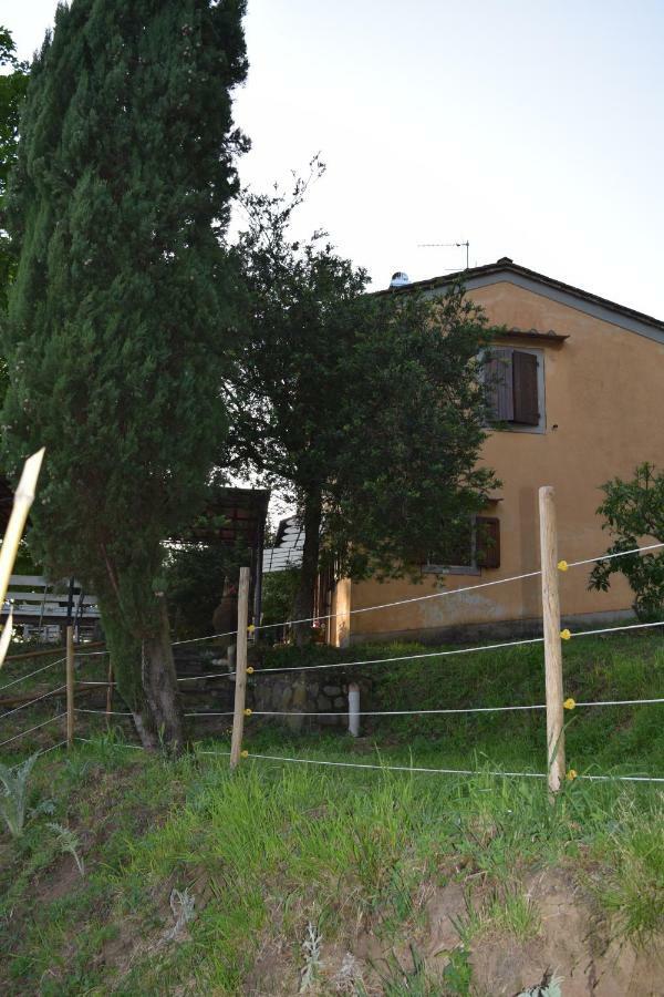 La Casa Sui Colli Villa Uzzano Ngoại thất bức ảnh